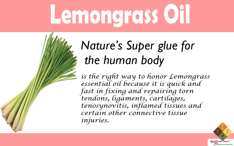 Therapeutic properties of Lemongrass oil Ayurvedic Oils