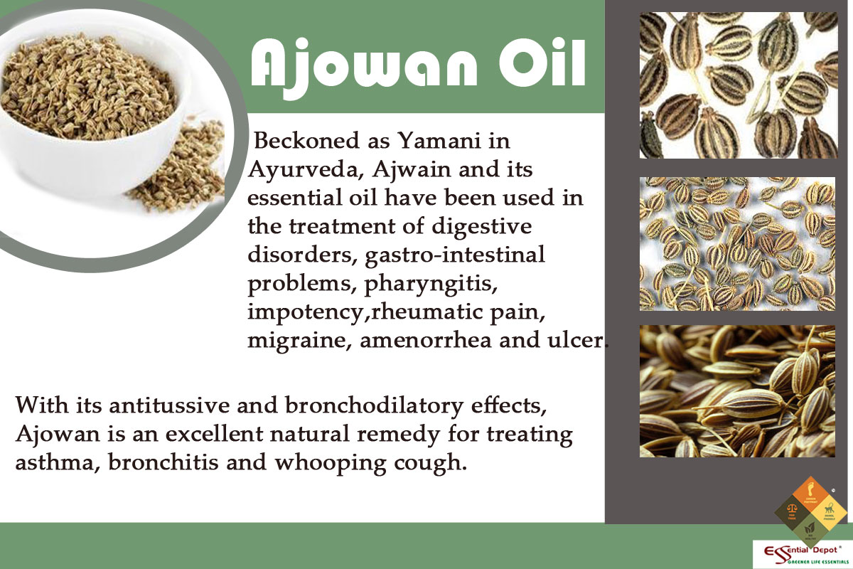 Chemical constituents of Ajowan oil Ayurvedic Oils