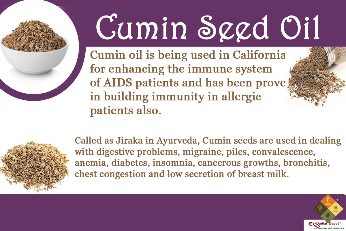 Chemical constituents of Cumin seed Oil Ayurvedic Oils