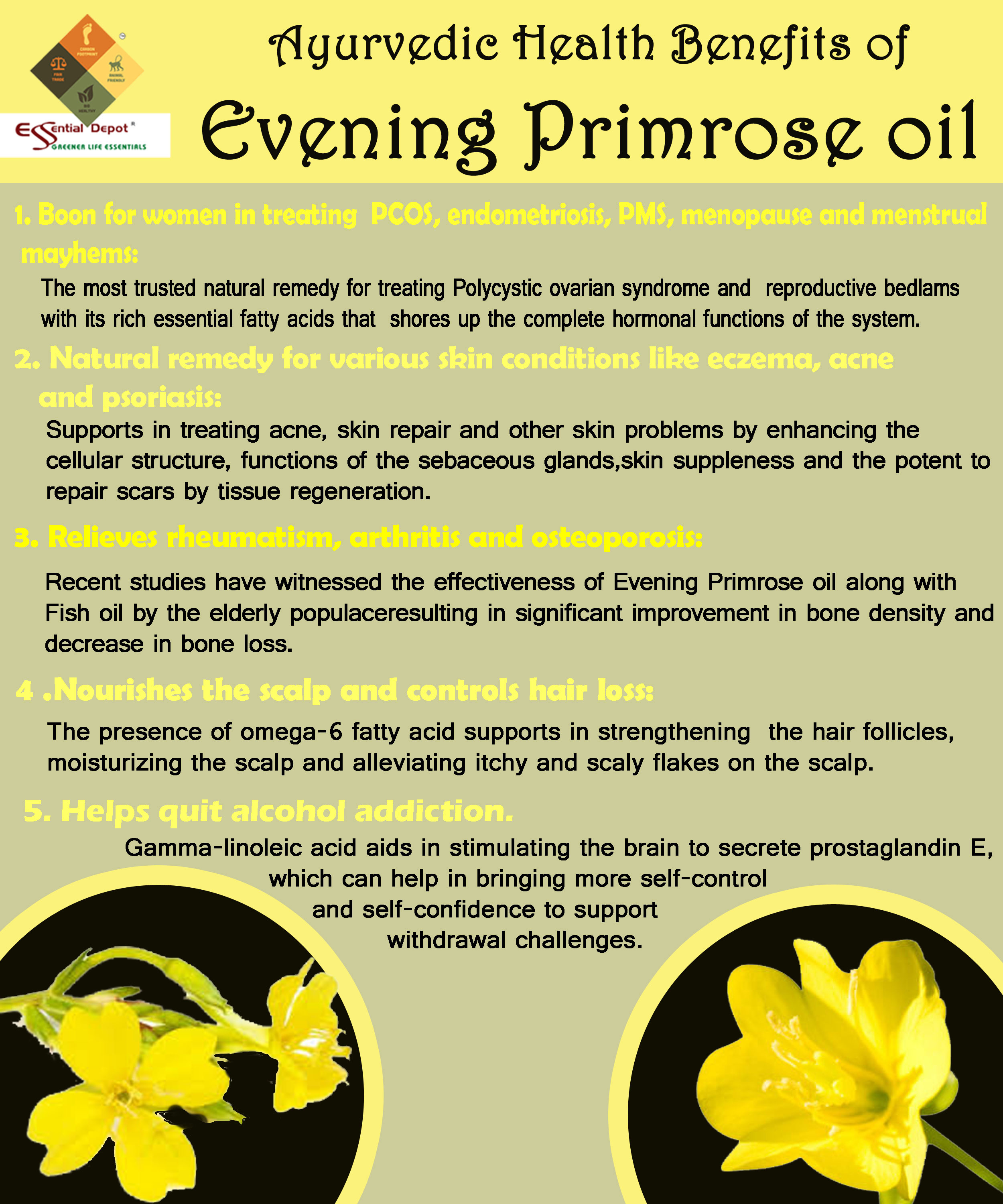 Evening Primrose Oil Menopause / Can Evening Primrose Oil Relieve Hot
