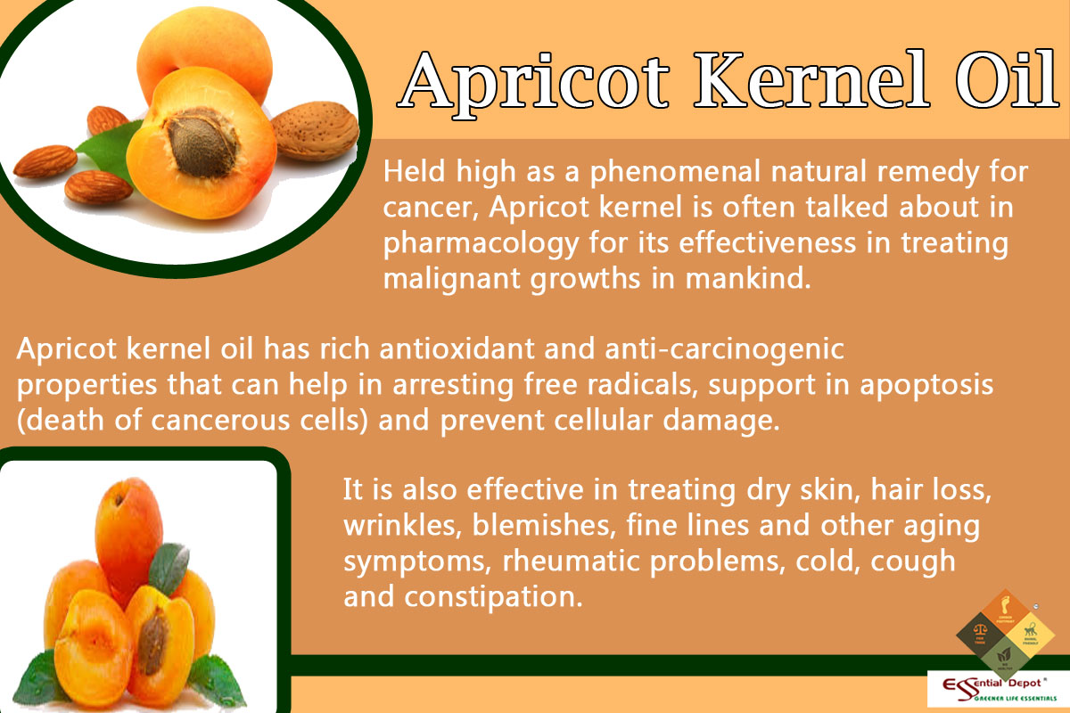 Chemical constituents of Apricot kernel oil Ayurvedic Oils