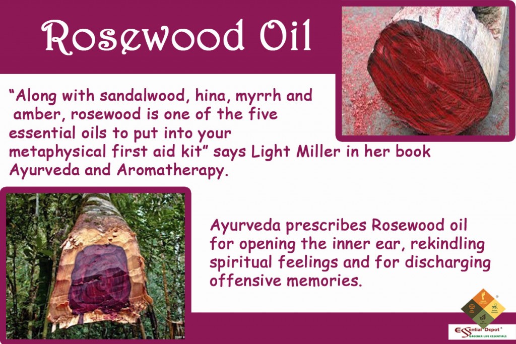 Therapeutic properties of Rosewood oil Ayurvedic Oils