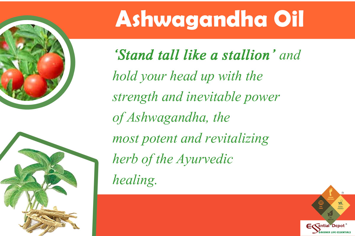 Chemical constituents of Ashwagandha oil Ayurvedic Oils
