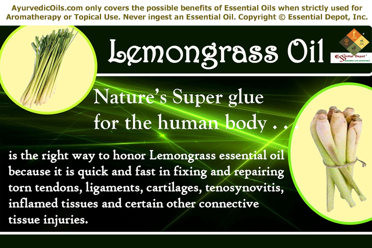 chemical constituents of Lemongrass oil | Essential Oil