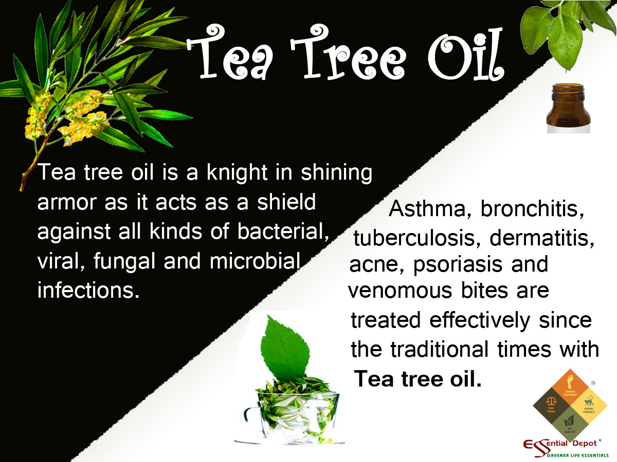 Therapeutic properties of Tea tree oil Ayurvedic Oils