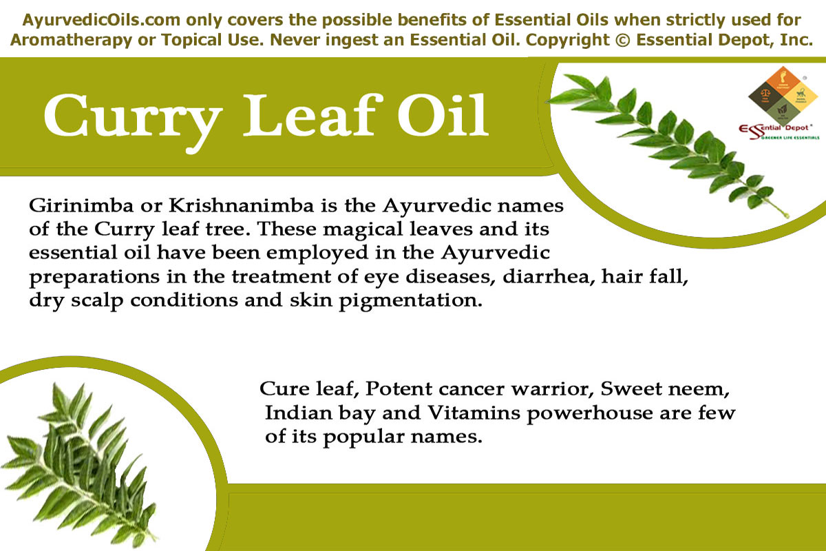 Image result for curry leaves benefits