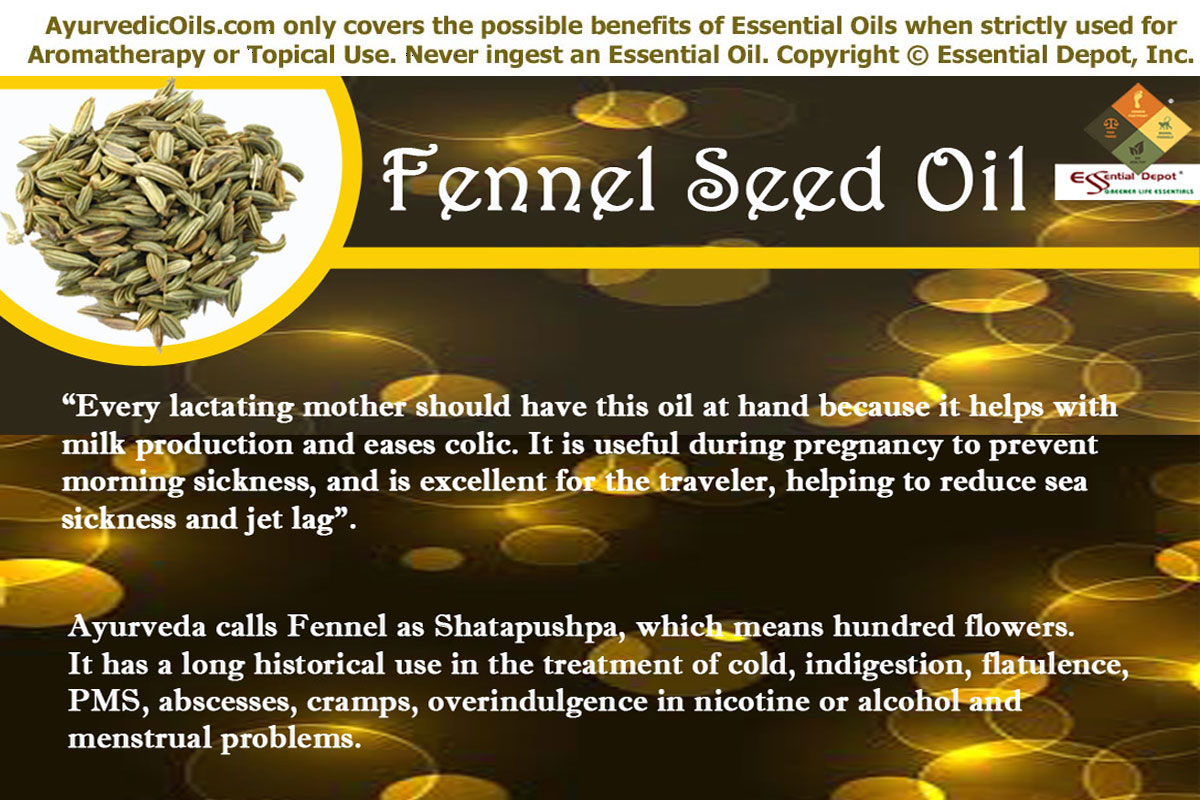 Health benefits of Fennel seed oil Essential Oil