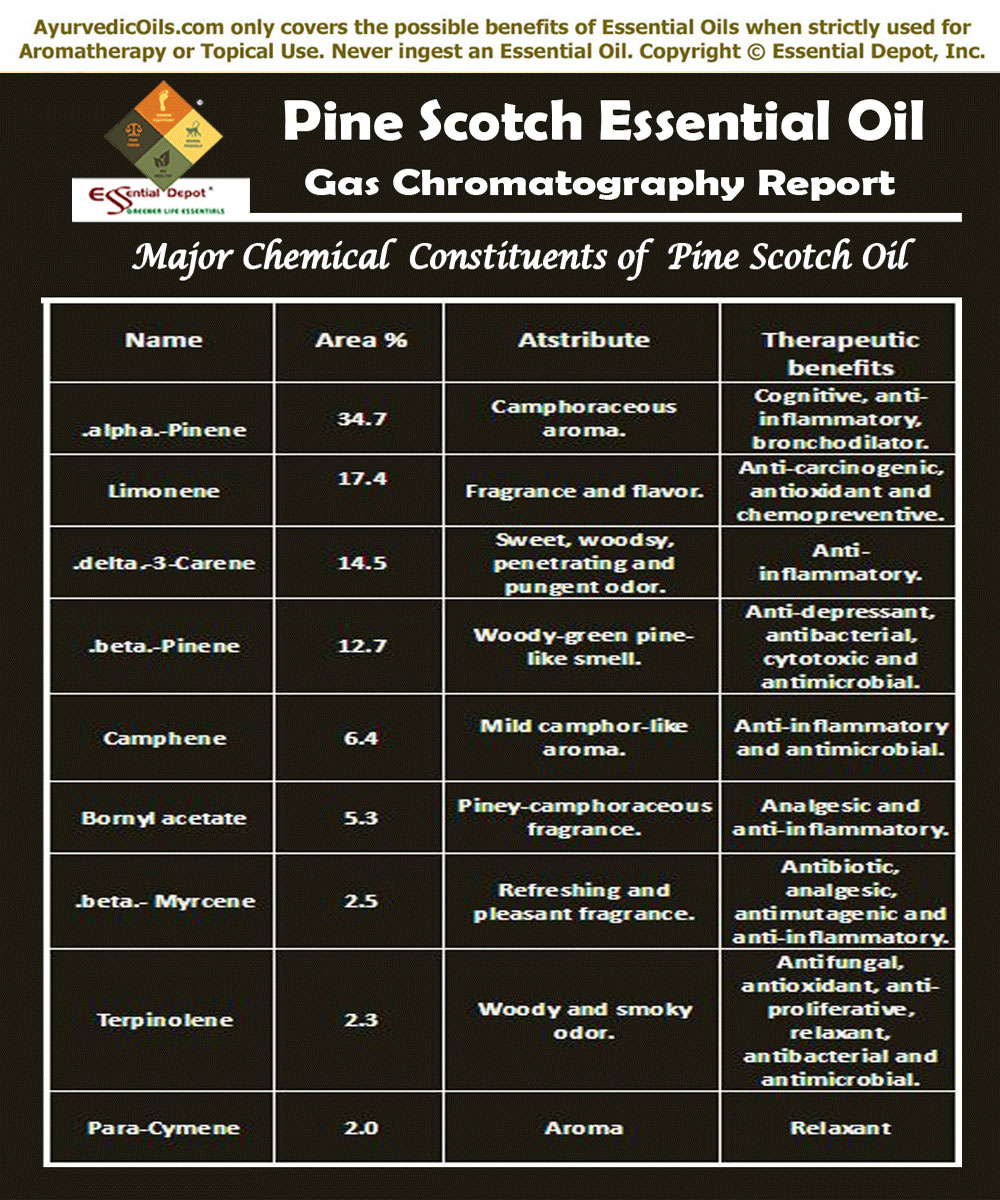 chemical-constituents-of-pine-oil-essential-oil