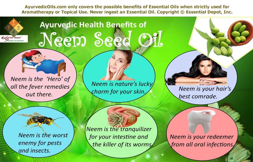 Is neem seed oil toxic, Neem Oil for Dogs: What Is It, Safety & Risks ...