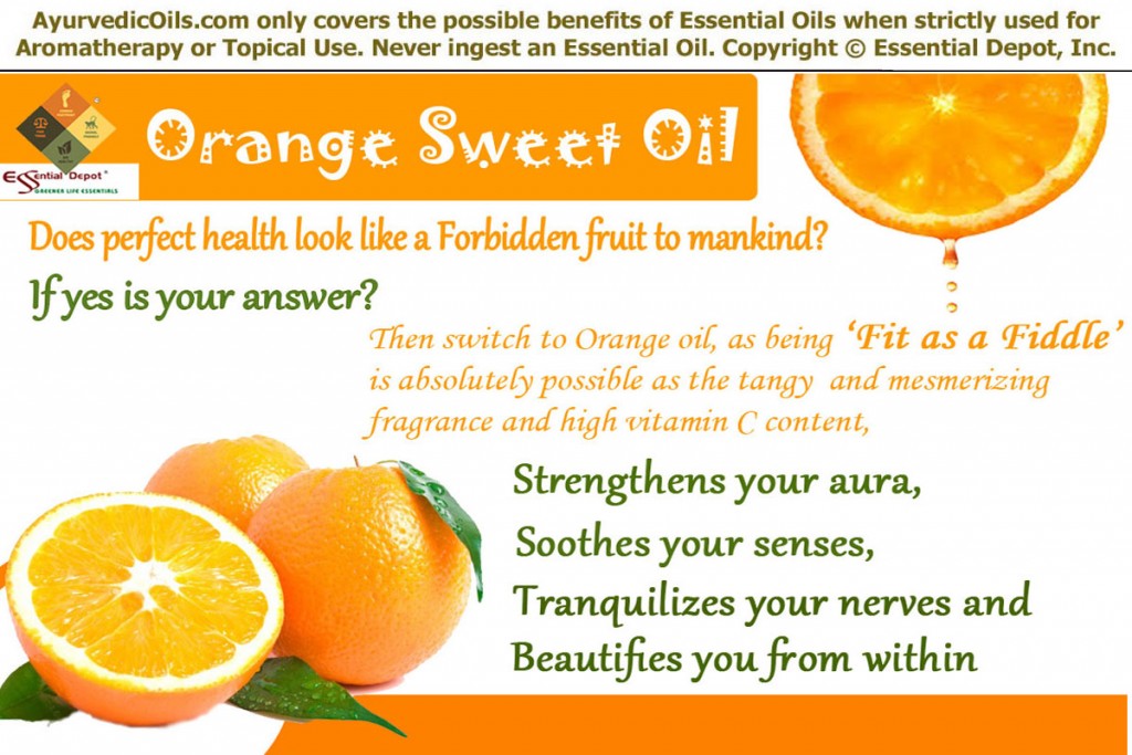 Orange-sweet-banner