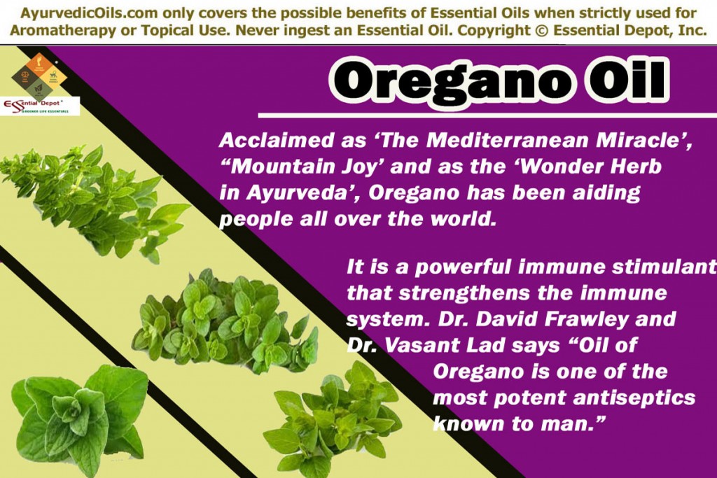 oregano-banner