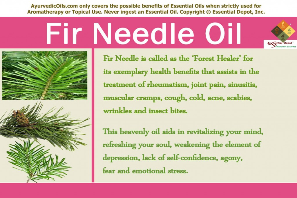 Fir-needlle-banner