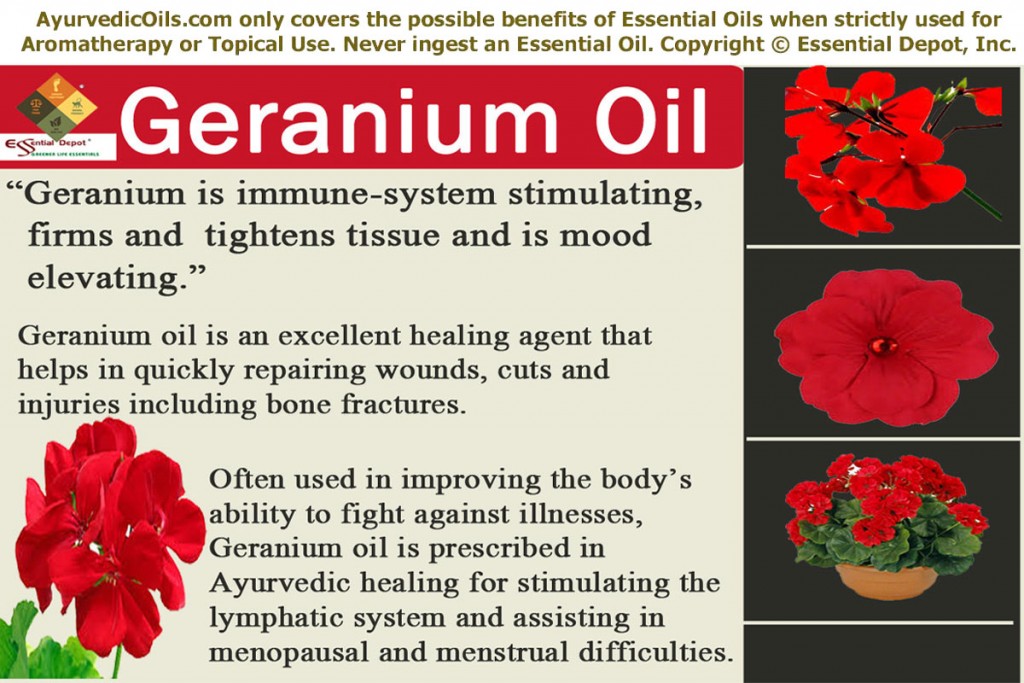 Geranium-banner