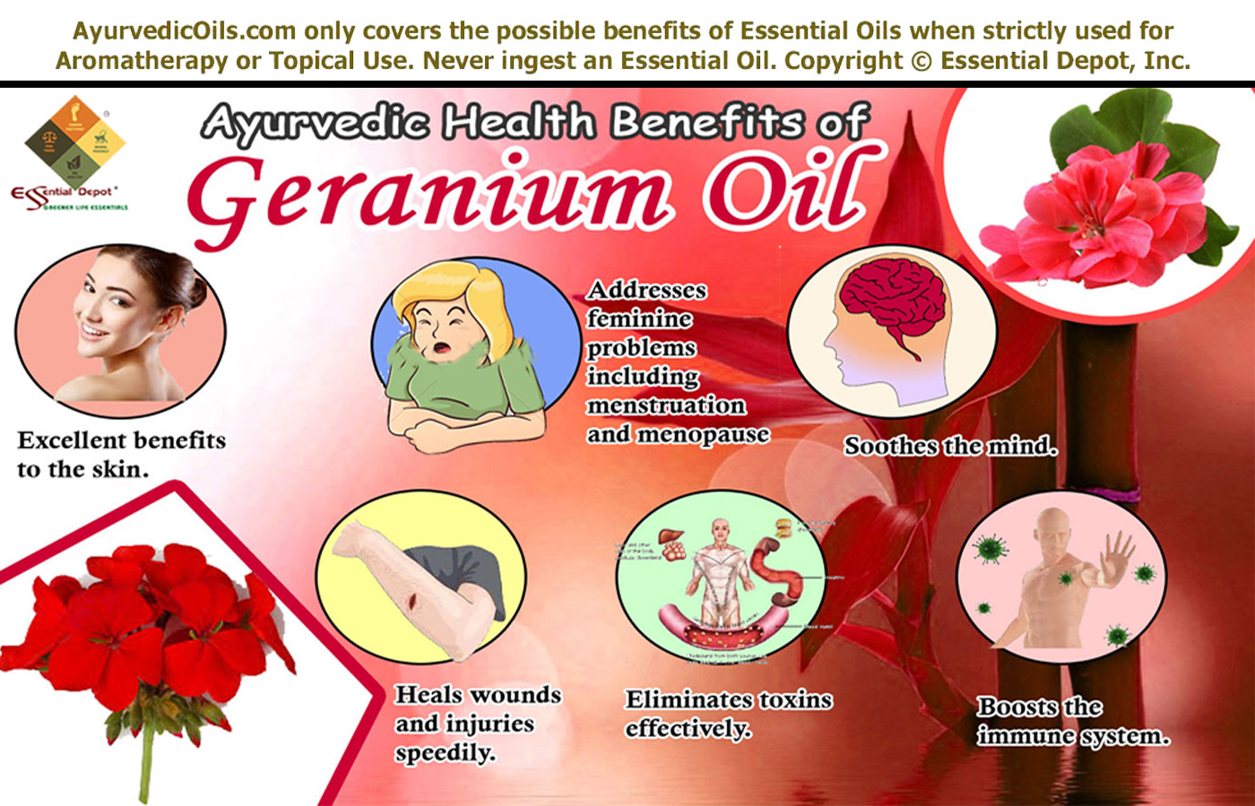 http://ayurvedicoils.com/wp-content/uploads/2016/05/Geranium-broucher.jpg