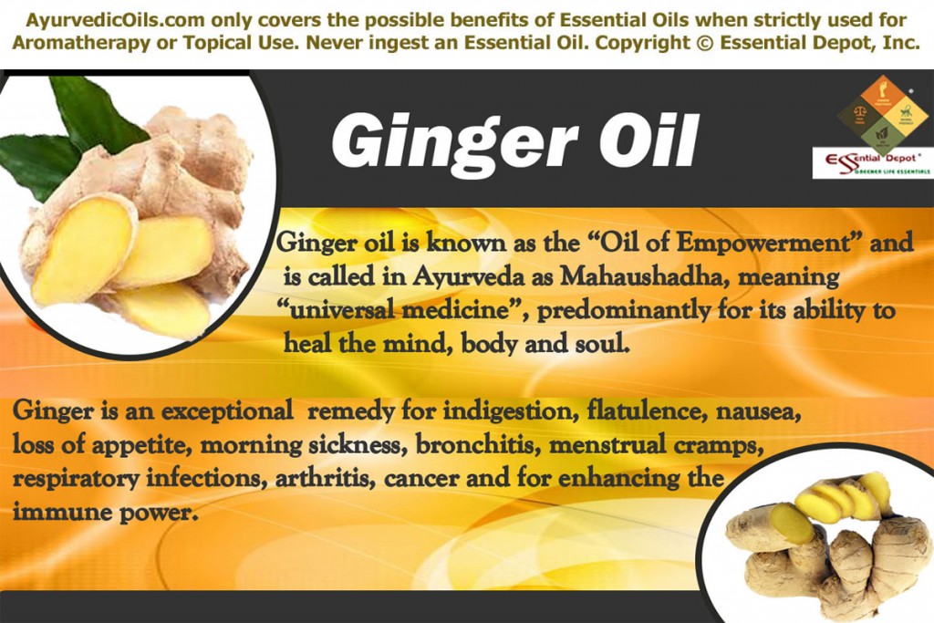 Ginger-oil-banner