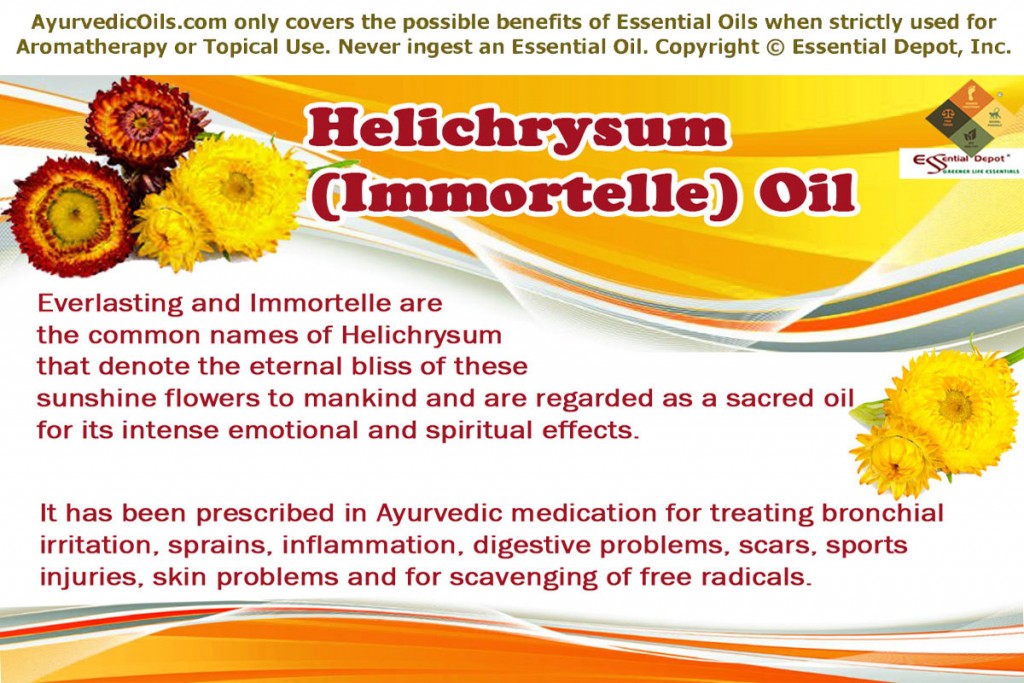 Helichrysum-oil-banner-new