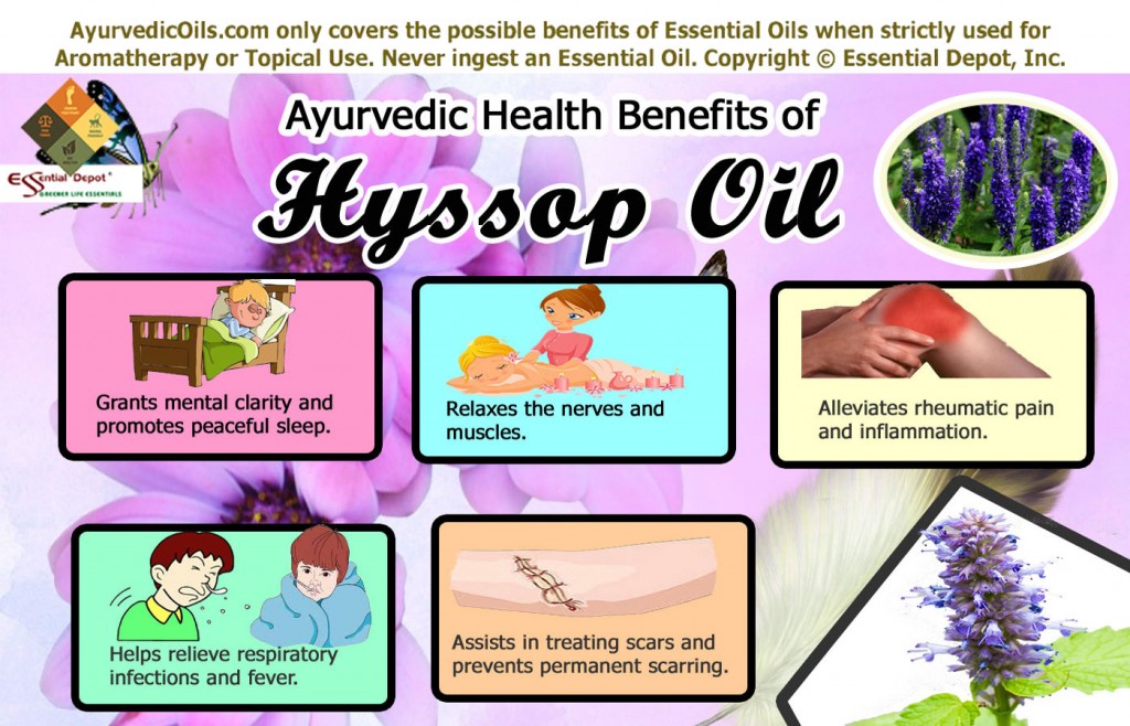 Hyssop-broucher-info