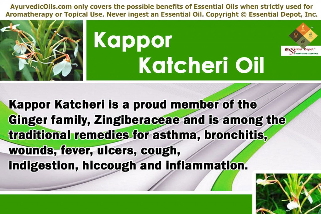 Kapoor-katcheri-banner