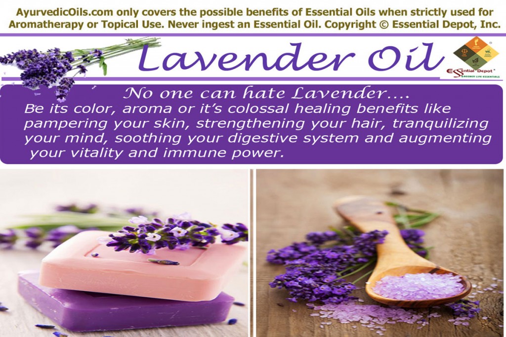 Lavender-banner