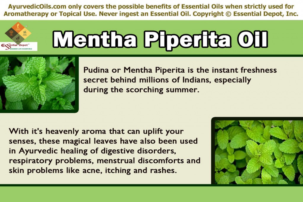 Mentha-pepperita-banner