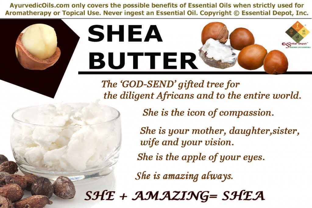 Shea-butter-banner