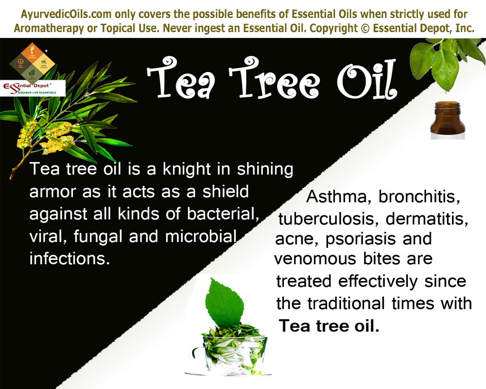 therapeutic-properties-of-tea-tree-oil-essential-oil