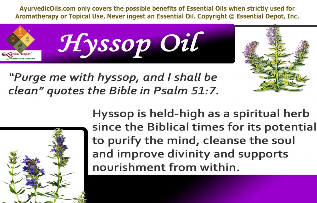 hyssop-banner