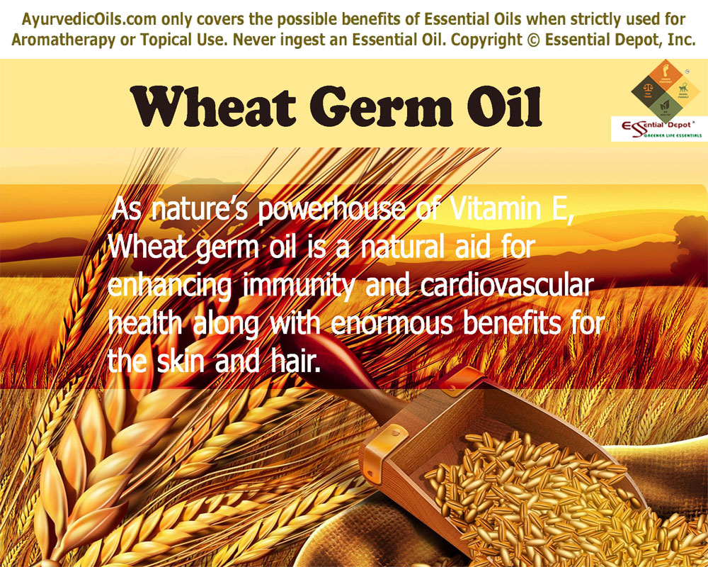 health-benefits-of-wheat-germ-oil-essential-oil