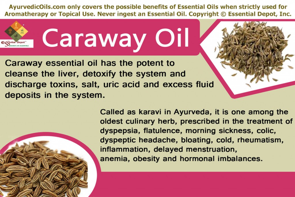 Caraway-banner