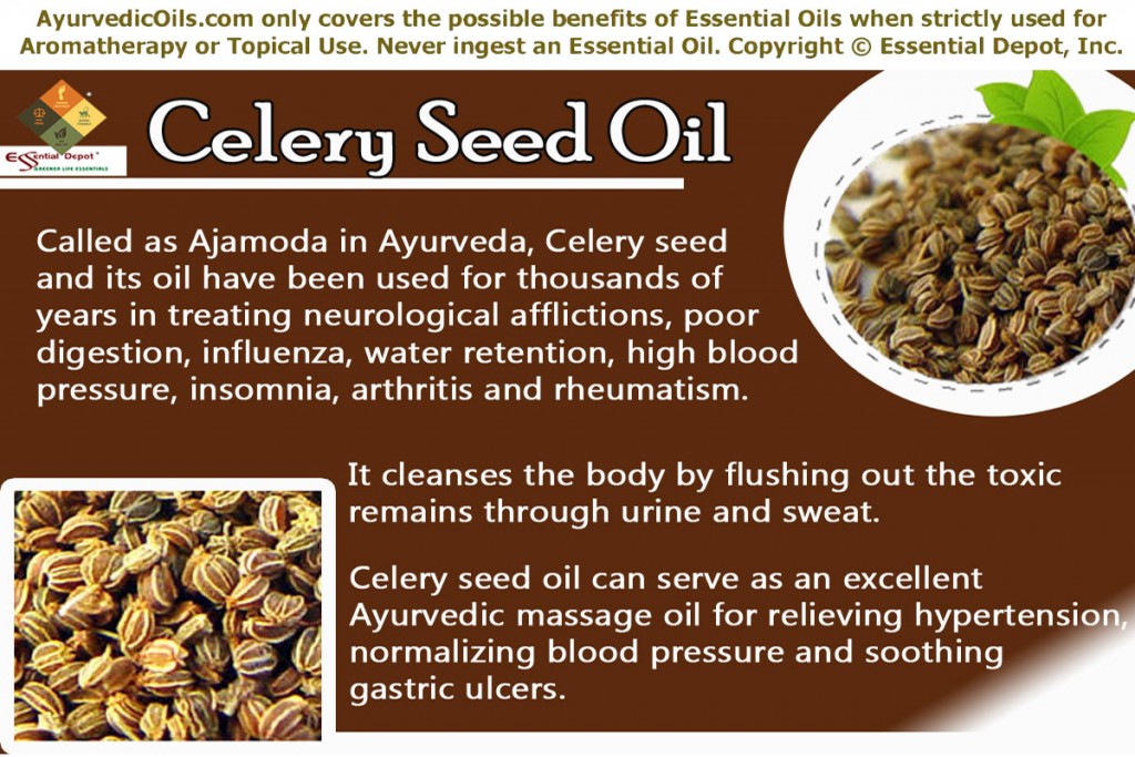 Celery-seed-oil-banner