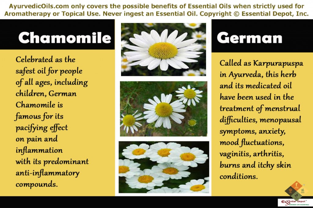 Chamomile-oil-german-banner