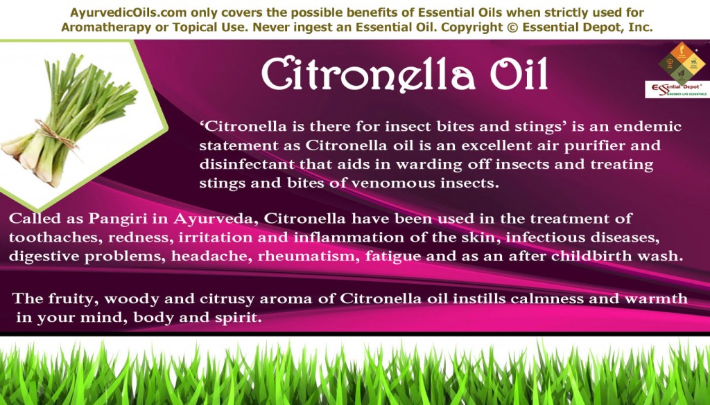 Citronella-banner