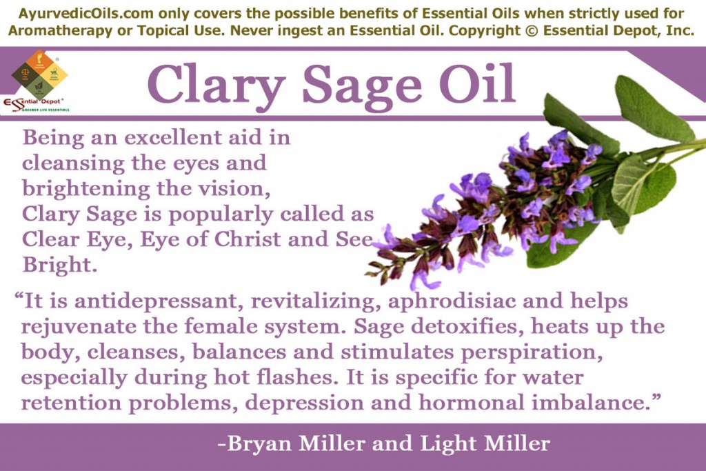 Clary-sage-banner