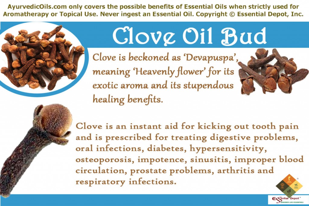 Clove-oil-bud-banner