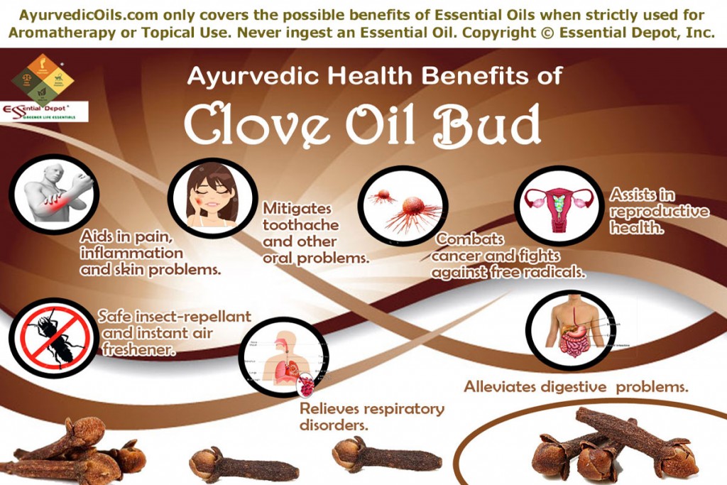 Clove-oil-bud-broucher