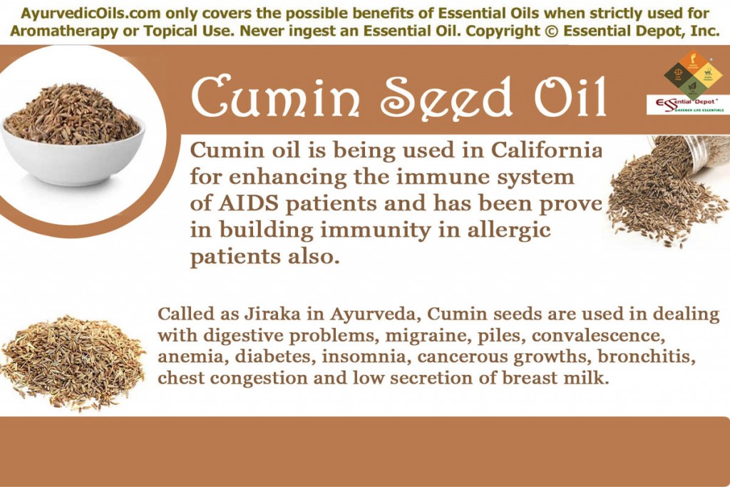 Cumin-seed-banner