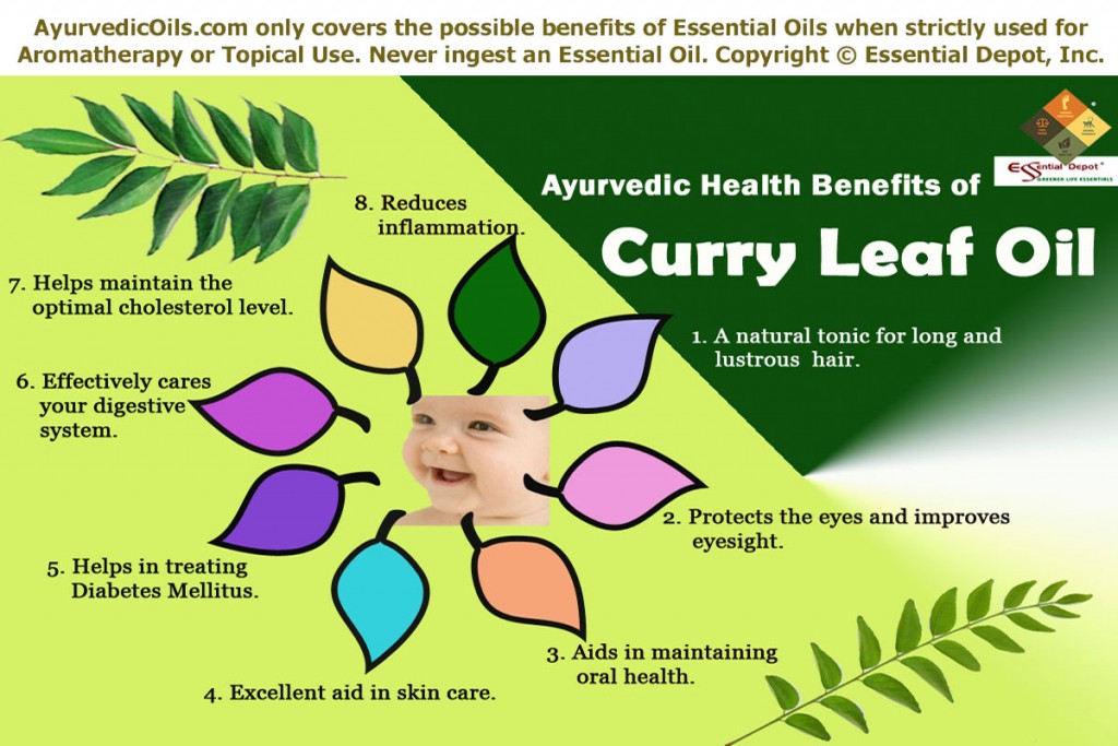 Curry-leaf-broucher