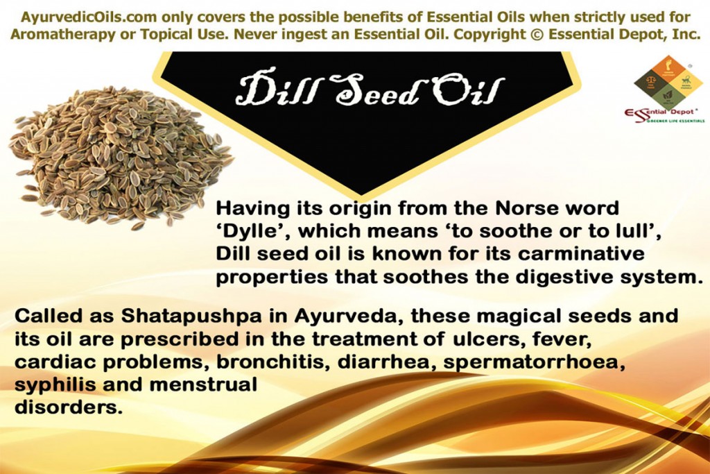 Dill-seed-Banner