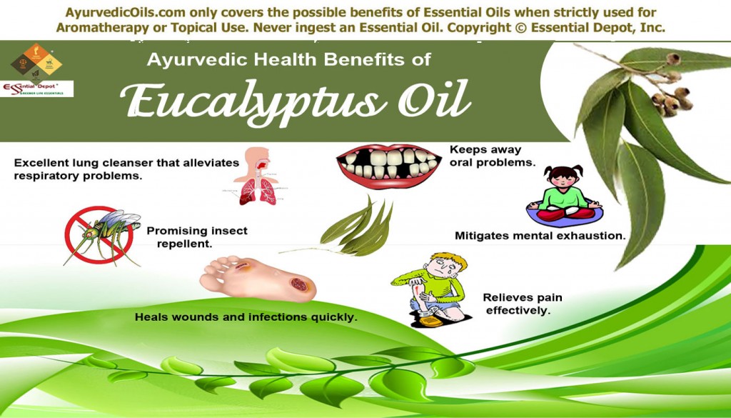 Eucalyptus-oil-broucher-new1