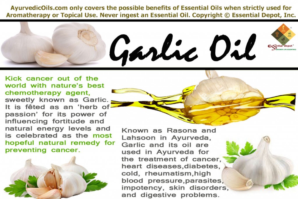 Garlic-banner