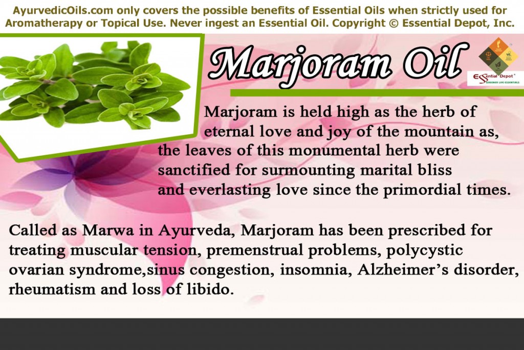 Marjoram-banner