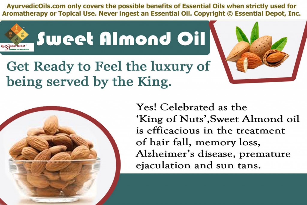 Sweet-almond-oil-banner