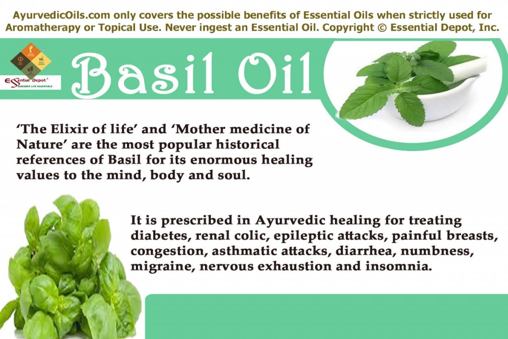 Basil-oil-banner