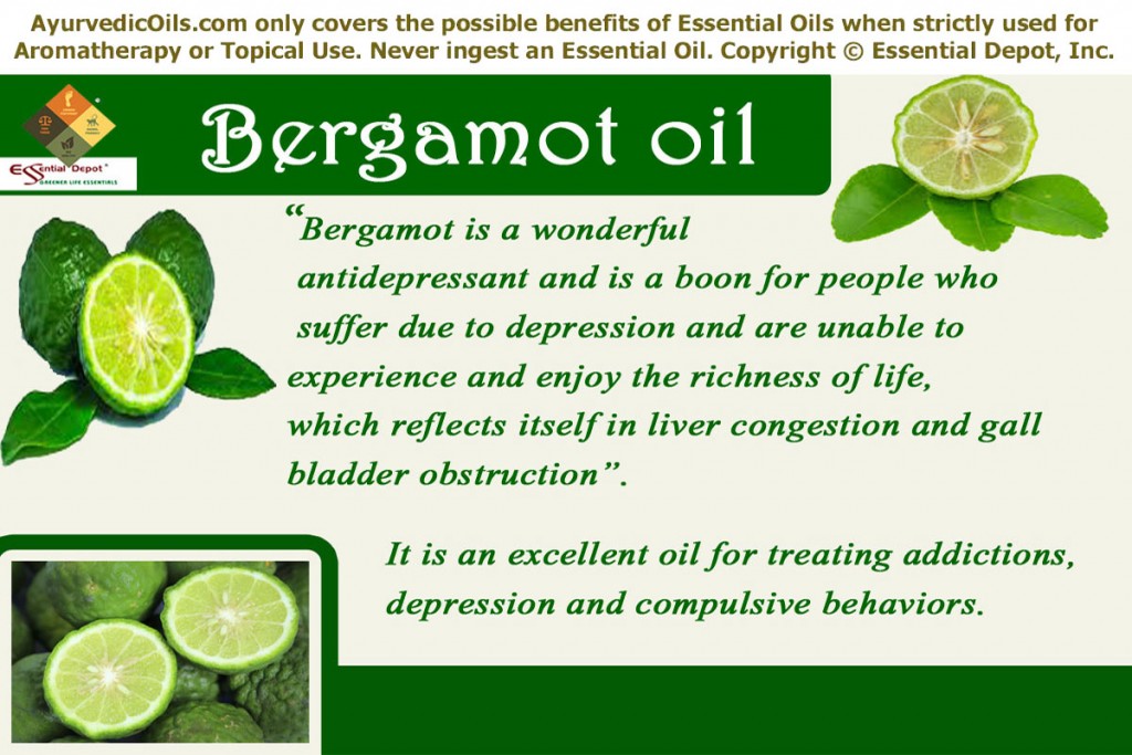 Bergamot-banner