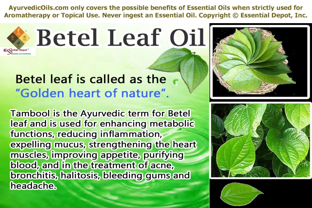 Betel-leaf-banner