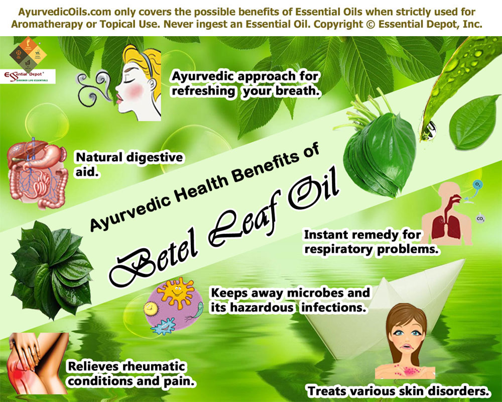 Health benefits of Betel leaf oil Essential Oil