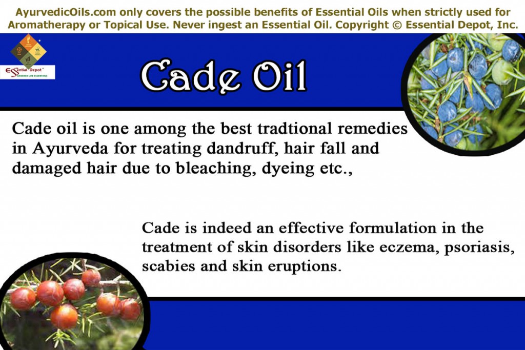 Cade-oil-banner