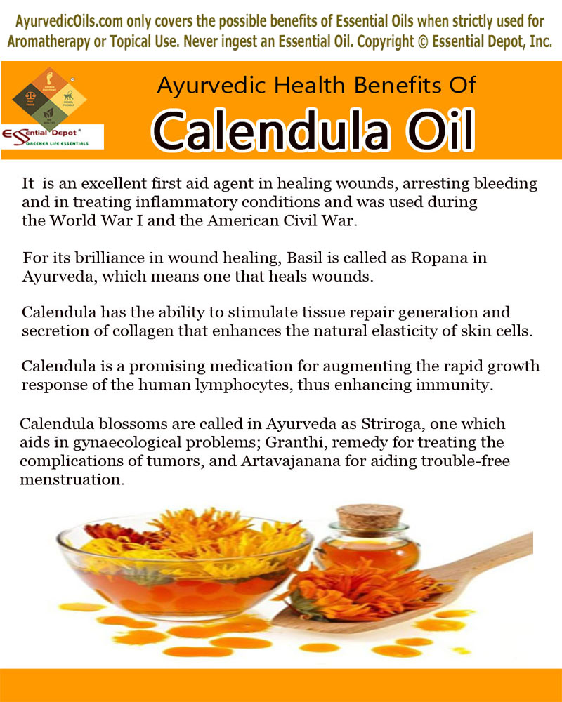 Calendula-broucher