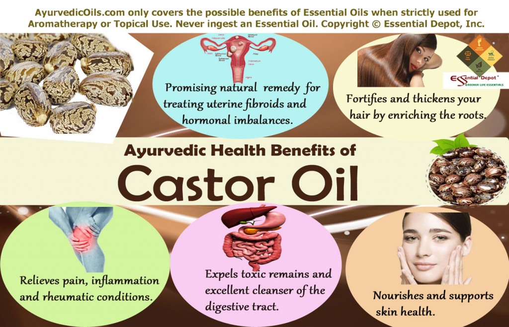 Chemical constituents of Castor Oil | Essential Oil