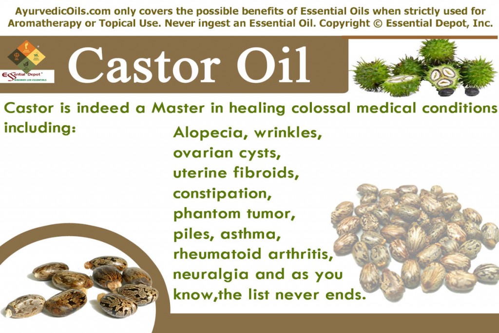 Chemical constituents of Castor Oil | Essential Oil